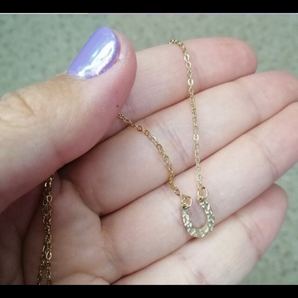 - 🌟HOST PICK🌟New Stainless Steel Horseshoe Necklace - Picture 9 of 9